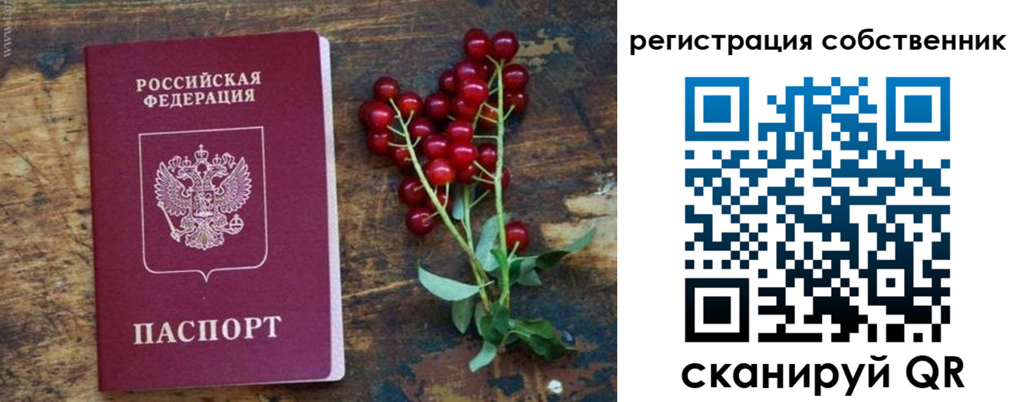 регистрация для дет. сада в Аркадаке